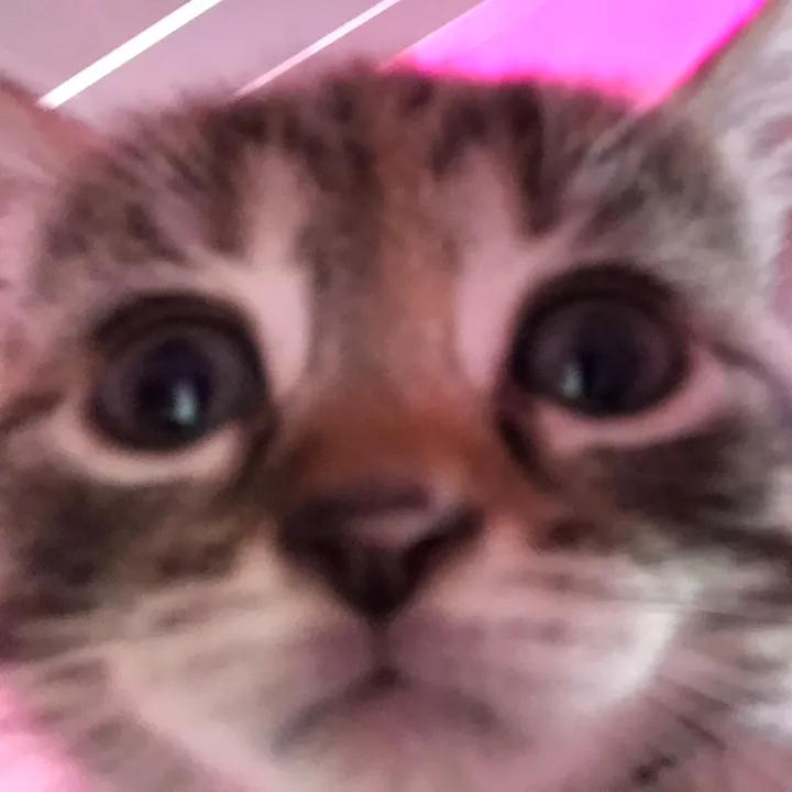 y0itskati3