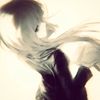 collab203