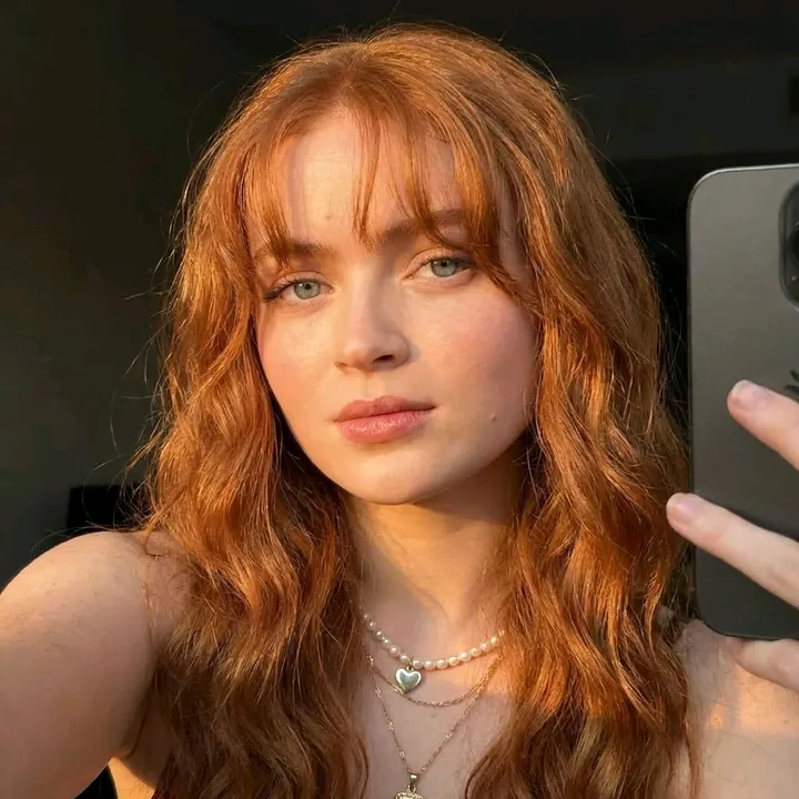 dreamcelebs