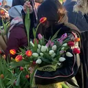 @taurusvenus27