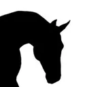 @reiterhofalteheld