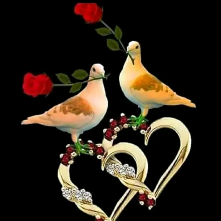 adii__writes7