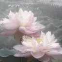 @dieforsucess