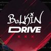 bulkin_d