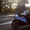 bikes_bunny