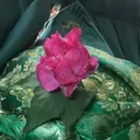 @haqqani.rose
