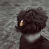 nesar_021