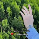 @dyn91t336b97