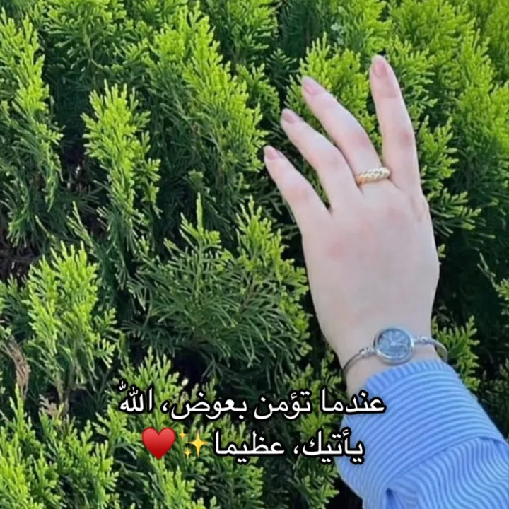 @dyn91t336b97