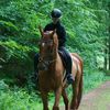 annalisa.equestrian