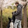 bordercolliekaz