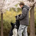 @bordercolliekaz