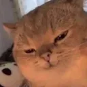 @painsten