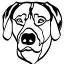 @puppystart.be