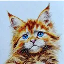 @goldenmainecoon18