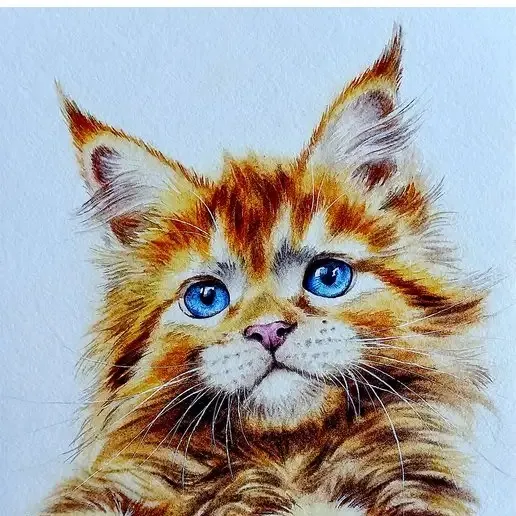 @goldenmainecoon18