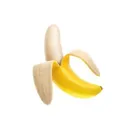 @bananas67693