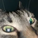 @realcjanttv