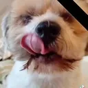 @sarah.hellen.lee