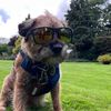 hamish_hrh