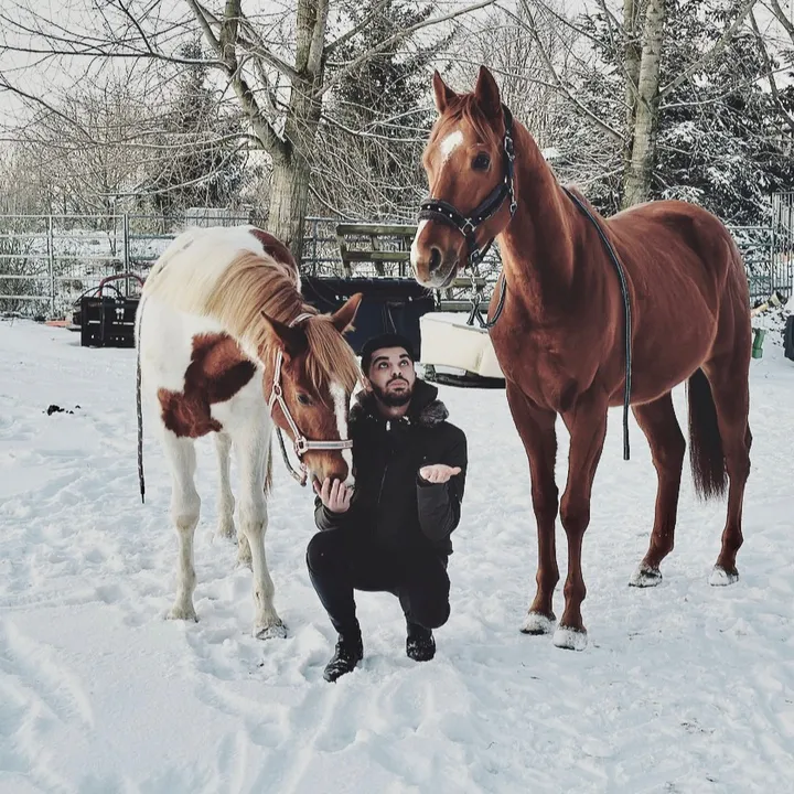 @cheval793