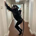 @mr_rat_official_
