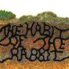 thehabitoftherabbit