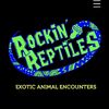 rockinreptilesbristol