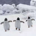 @usertiktokrm