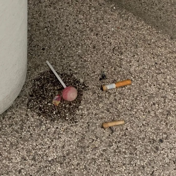 ploynotfound