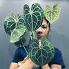 huy_with_plants