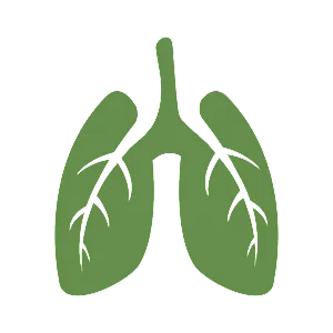 greenlungspoland
