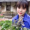 ngocchinhmiennui