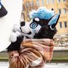novagalaxywolf
