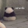 youre_my_favorite_song