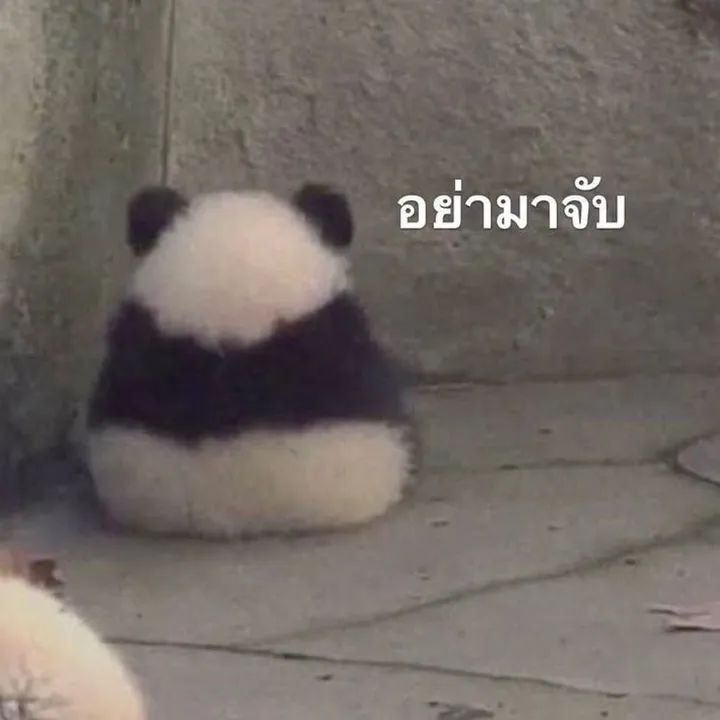 @youre_my_favorite_song