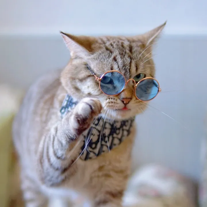 @cuga.cat