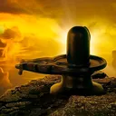 @shivaya208
