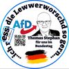 afd_thomas_stephan