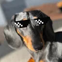 @nilsthesausage