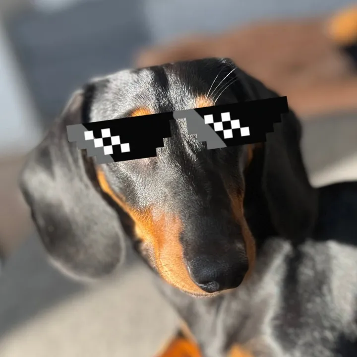 @nilsthesausage