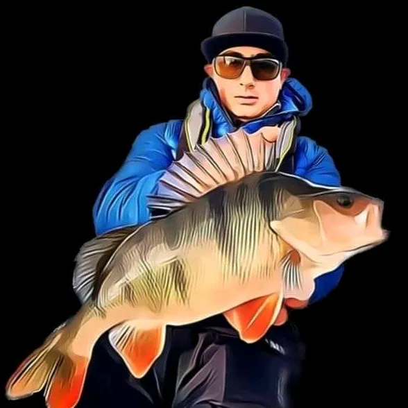 bf_angler