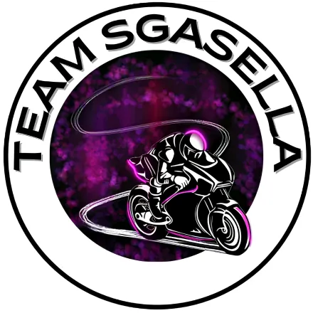 @teamsgasella