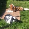 charlierosie6