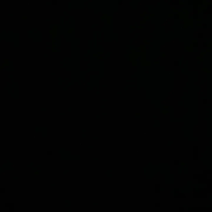 @077._.alina