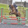chestnut.sj27