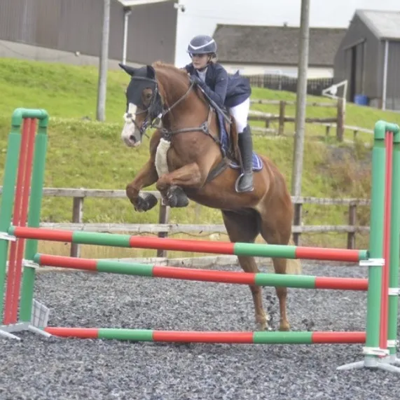 chestnut.sj27