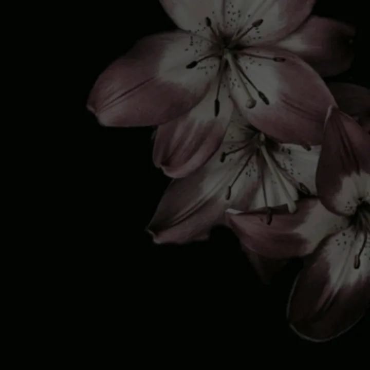 @mimmi_bln