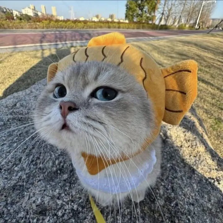 uwpqratfj