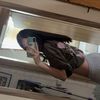 haly_2._acc